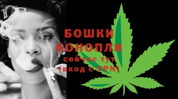 PSILOCYBIN Бронницы