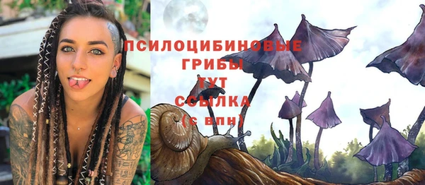 соль ск Верея