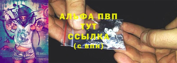 прущие грибы Волосово