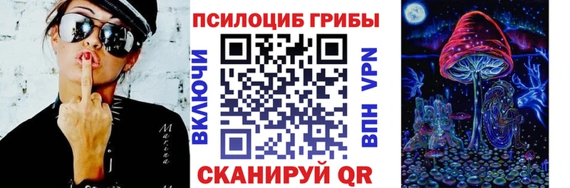 мориарти как зайти Гаджиево Галлюциногенные грибы Psilocybe